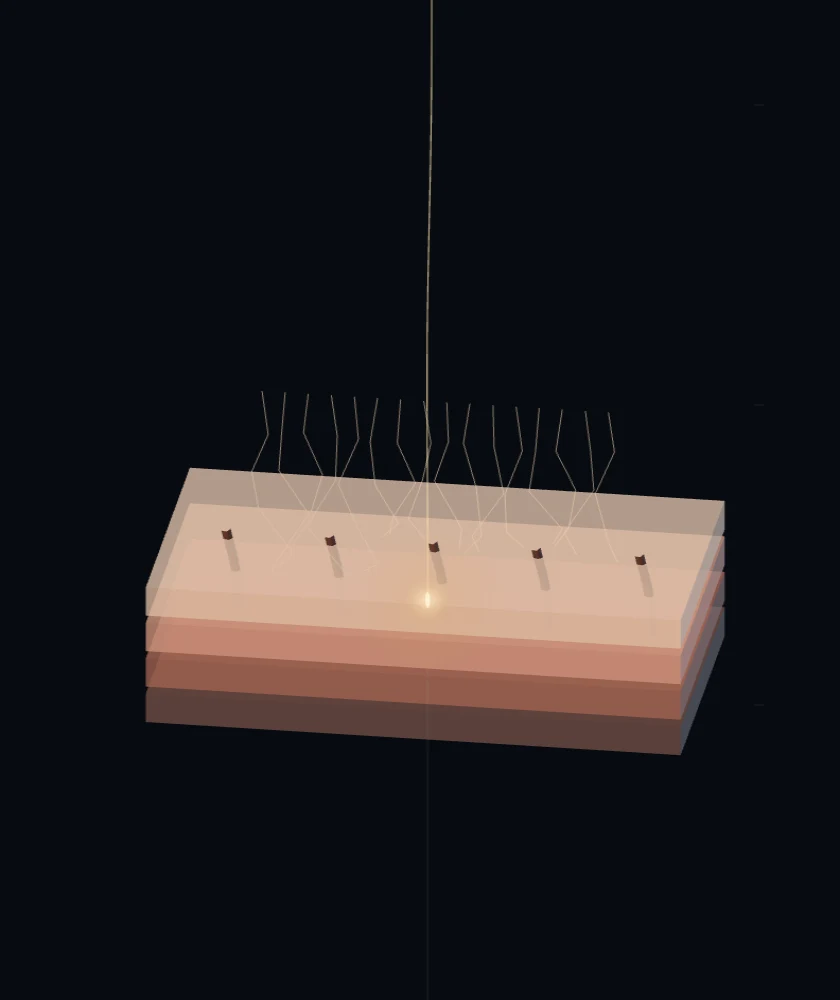 Closer to skin.<br>Closer attention. — Optical and product concept